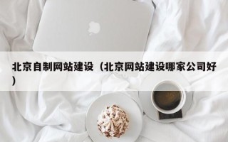 西藏北京自制网站建设（北京网站建设哪家公司好）
