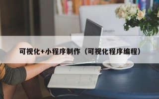 西藏可视化+小程序制作（可视化程序编程）